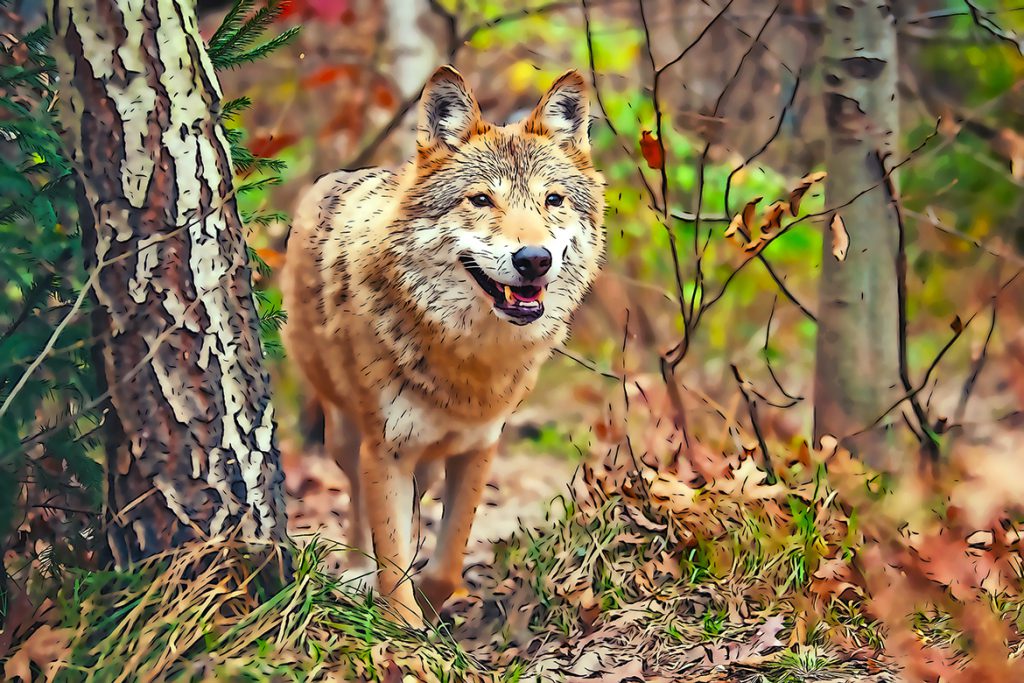 Cartoon Photoshop Action – Chuyển ảnh thật sang ảnh vẽ hoạt hình