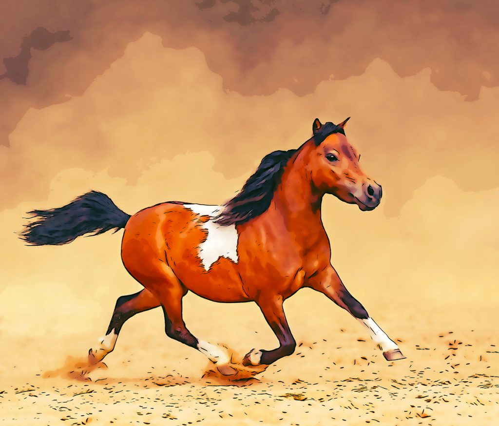 Cartoon Photoshop Action – Chuyển ảnh thật sang ảnh vẽ hoạt hình