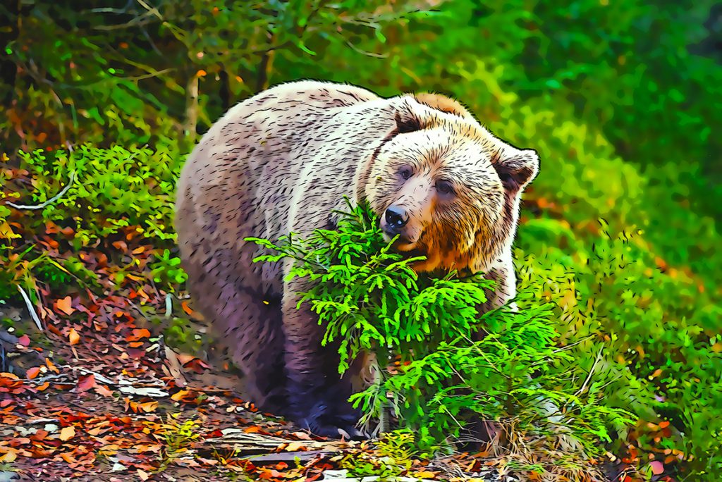 Cartoon Photoshop Action – Chuyển ảnh thật sang ảnh vẽ hoạt hình