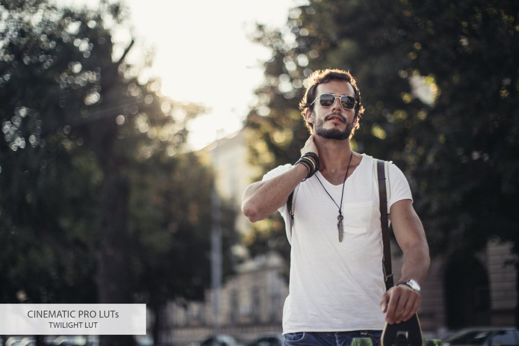 13_cinematic-luts_twilight_16-1024x683-1 FixThePhoto Cinematic LUTs – Bộ Lut đẹp đến từ FixThePhoto