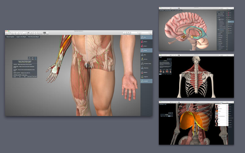 1485839294_essential-anatomy_01 Essential Anatomy – mô phỏng giải phẫu cơ thể người 3D