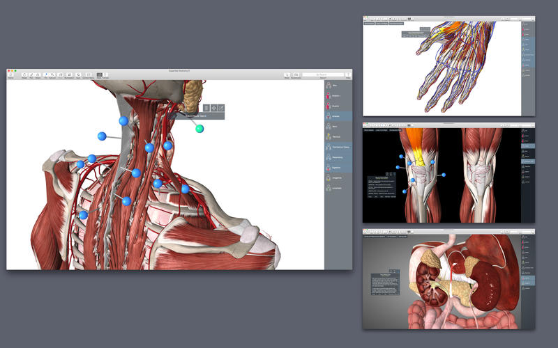 1485839317_essential-anatomy_03 Essential Anatomy – mô phỏng giải phẫu cơ thể người 3D