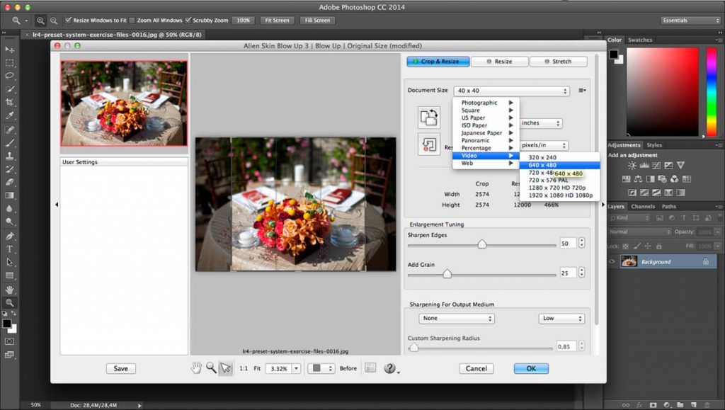 1532370454_alien-skin-blow-up_03-1024x579-1 Exposure Software Blow Up- Phóng to ảnh mà không bị mờ