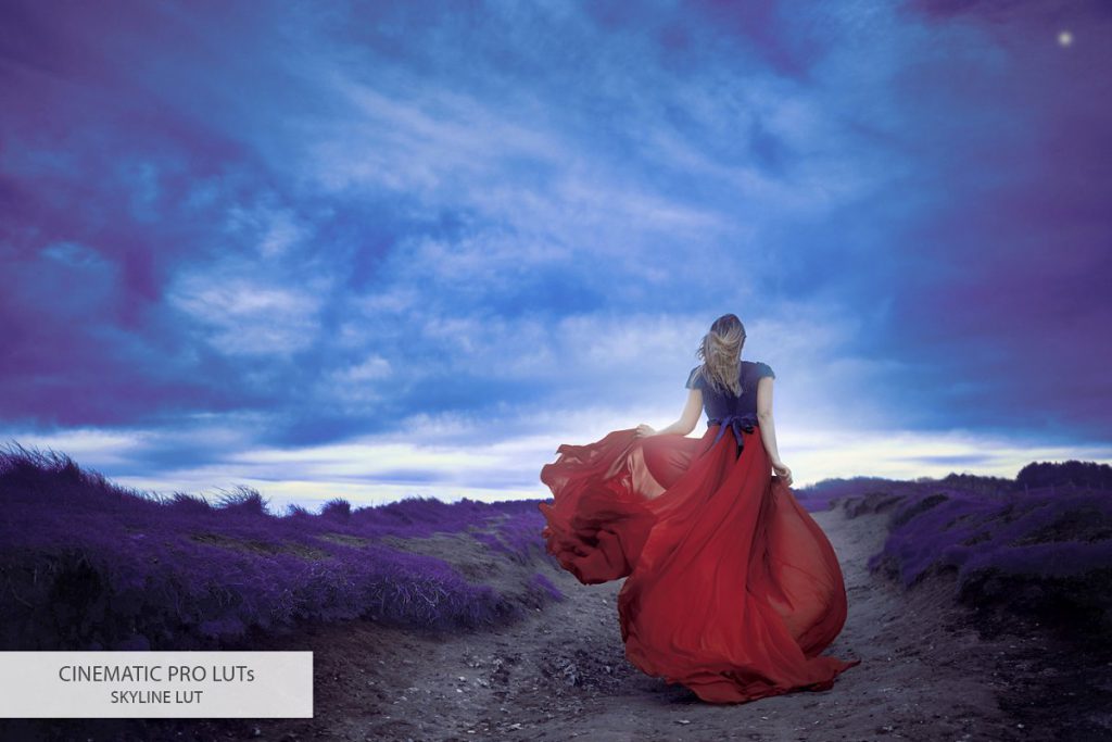 18_cinematic-luts_skyline_23-1024x683-1 FixThePhoto Cinematic LUTs – Bộ Lut đẹp đến từ FixThePhoto