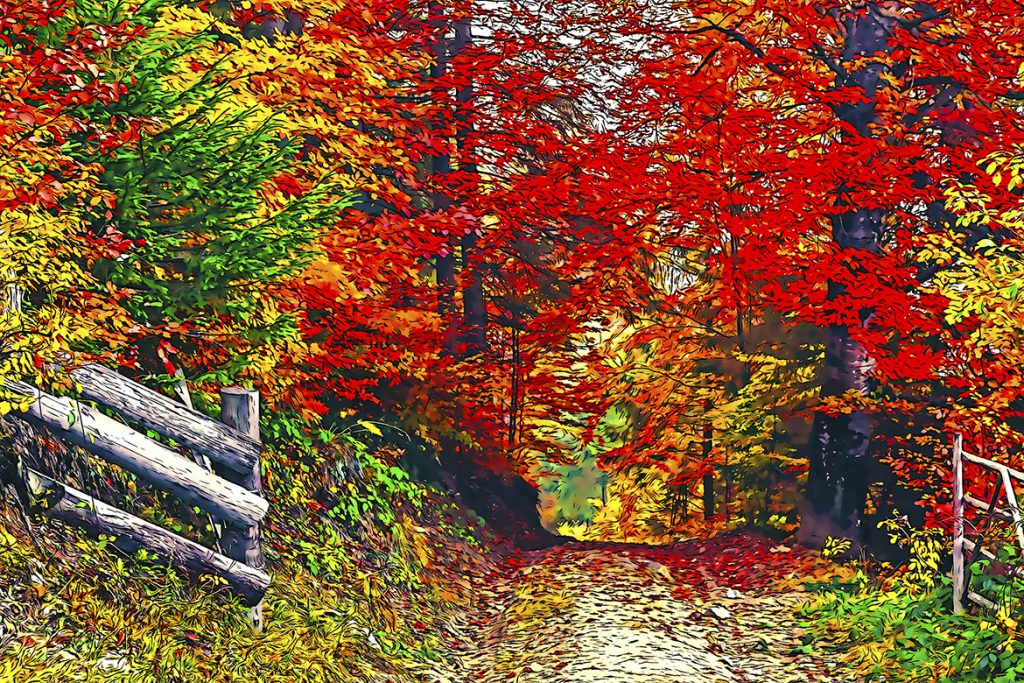 Cartoon Photoshop Action – Chuyển ảnh thật sang ảnh vẽ hoạt hình