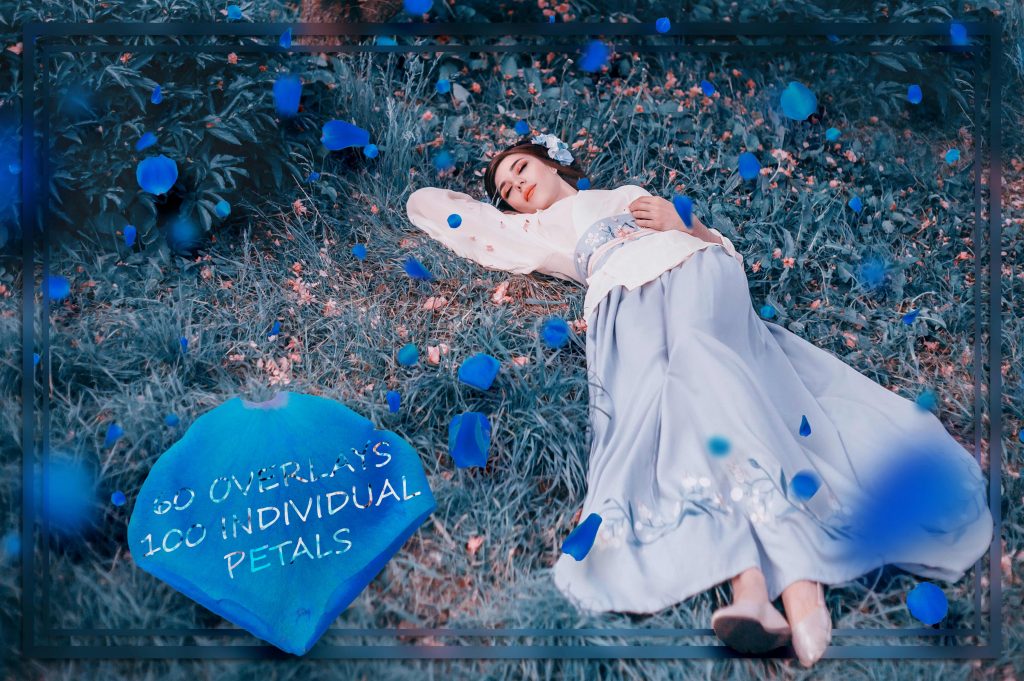 9000+ Overlays And Design Elements – Bộ stock Overlay khủng