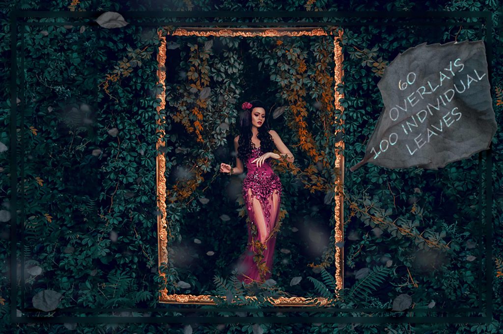 9000+ Overlays And Design Elements – Bộ stock Overlay khủng