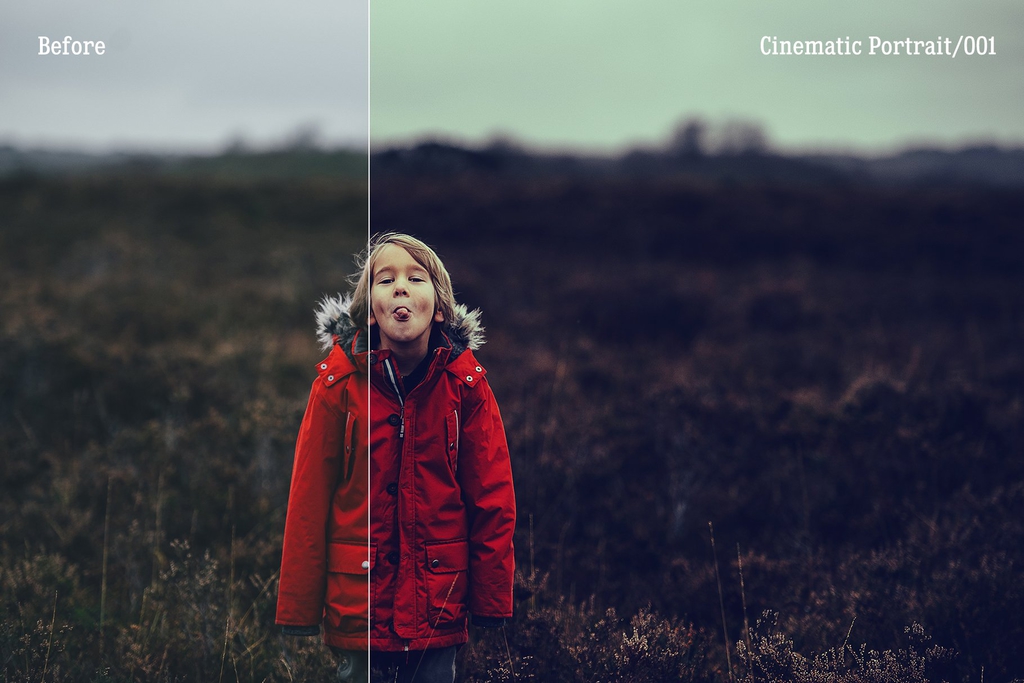 300+ Portraiture Photoshop Actions & ACR Collection – Hơn 300 Action, Preset Lightroom, Camera Raw Filter