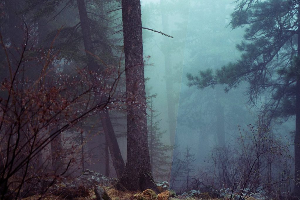 40-modern-photoshop-actions6-1024x683-1 40 Modern Photoshop Actions – Bộ 40 Action tone màu đẹp