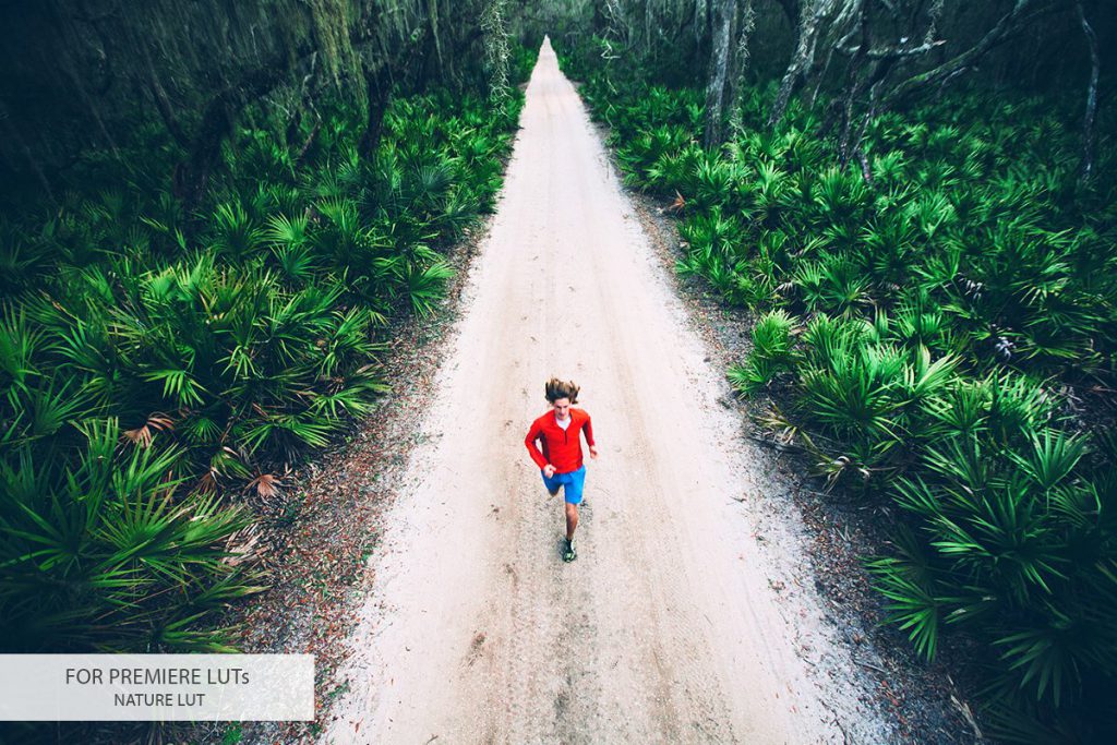 4023574-premiere-luts-4-1024x683-1 Premiere LUTs Collection – Bộ 20 Luts màu đẹp từ Creativemarket