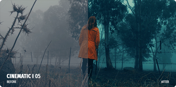 700-film-looks-lut-color-preset-pack-2 700 Film Looks – LUT Color Preset Pack – Bộ Luts đẹp từ Videohive