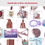 Anatomy & Physiology – Phần mềm giải phẫu học