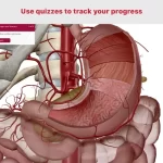 Anatomy & Physiology – Phần mềm giải phẫu học