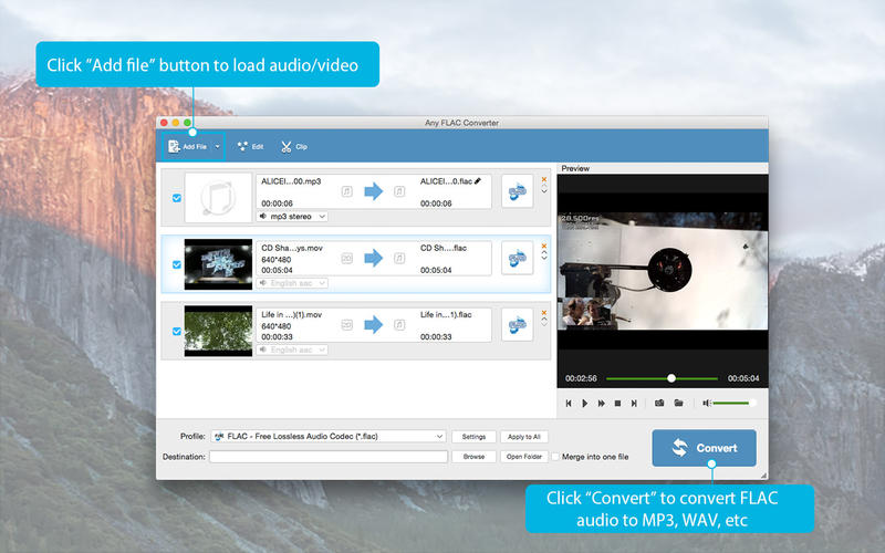 Any FLAC Converter – Chuyển nhạc FLAC sang MP3 và nhiều định dạng khác
