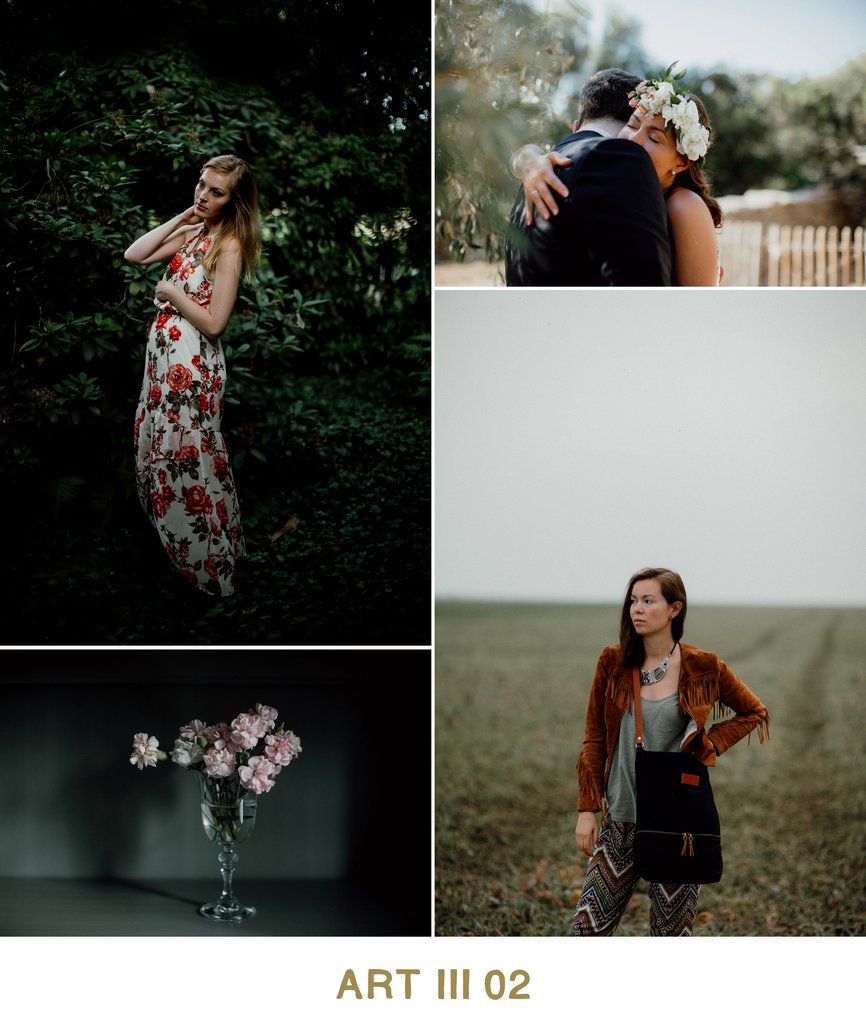 Vivid Presets – ART III COLLECTION – Bộ Preset màu giá 35$ [Lightroom]