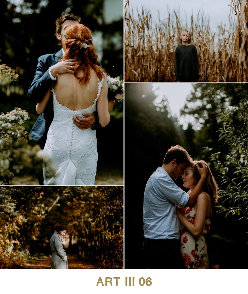 Vivid Presets – ART III COLLECTION – Bộ Preset màu giá 35$ [Lightroom]