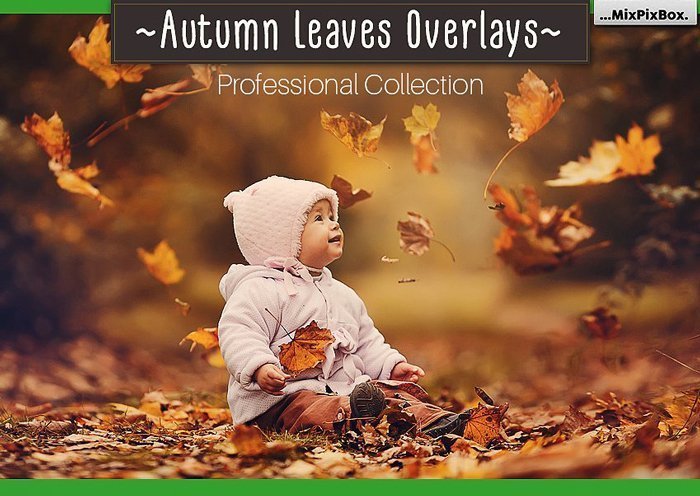 autumn-leaves-new-cover-700 3900+ Photo Overlays – Bộ sưu tập hơn 3900 file Overlays nhiều chủ đề