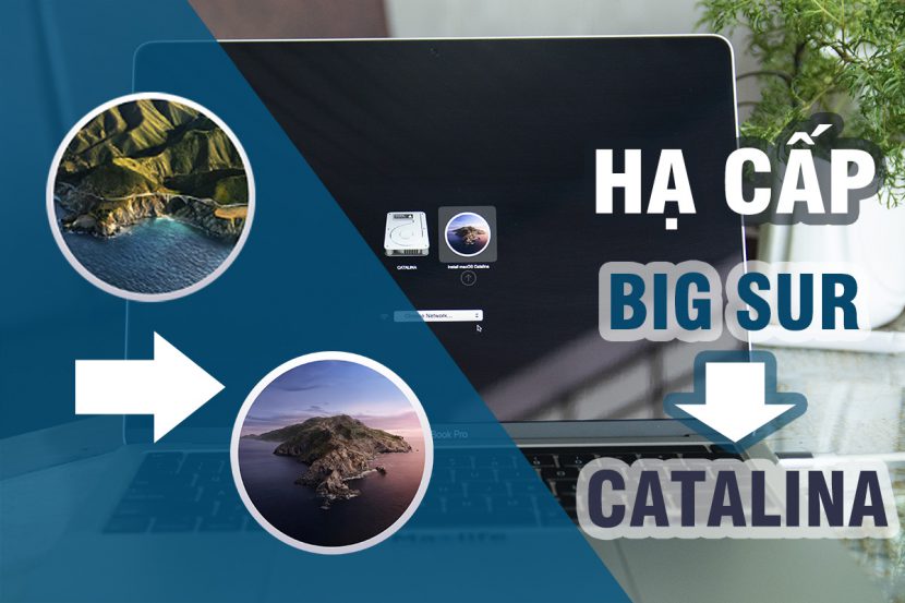 Hướng dẫn Downgrade (hạ cấp) từ macOS Big Sur xuống Catalina hoặc thấp hơn