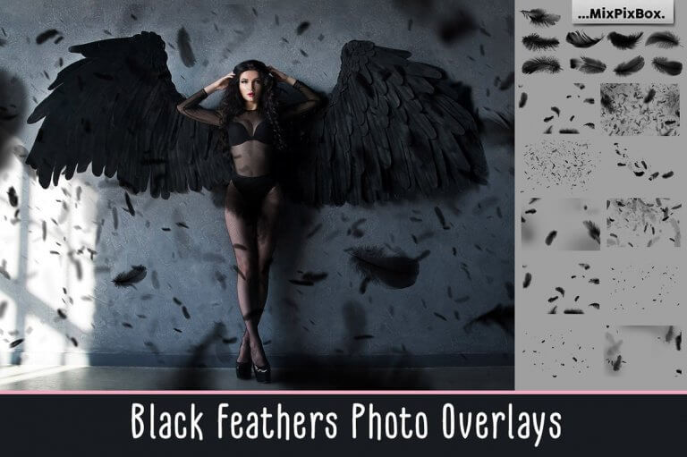 black-feathers-first-image-768x511-1 3900+ Photo Overlays – Bộ sưu tập hơn 3900 file Overlays nhiều chủ đề