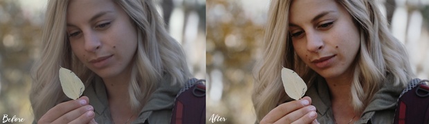 blueluts-e28093-pack-3-e28093-the-cine-luts-mac BLUELUTS Pack 3 The Cine LUTs – Bộ LUTS chỉnh màu cho Final Cut và Premiere