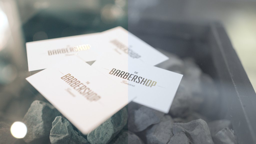 10 x Cinematic LUTs / GH5 & V-LOG – Bouncecolor – Luts dành cho Pre