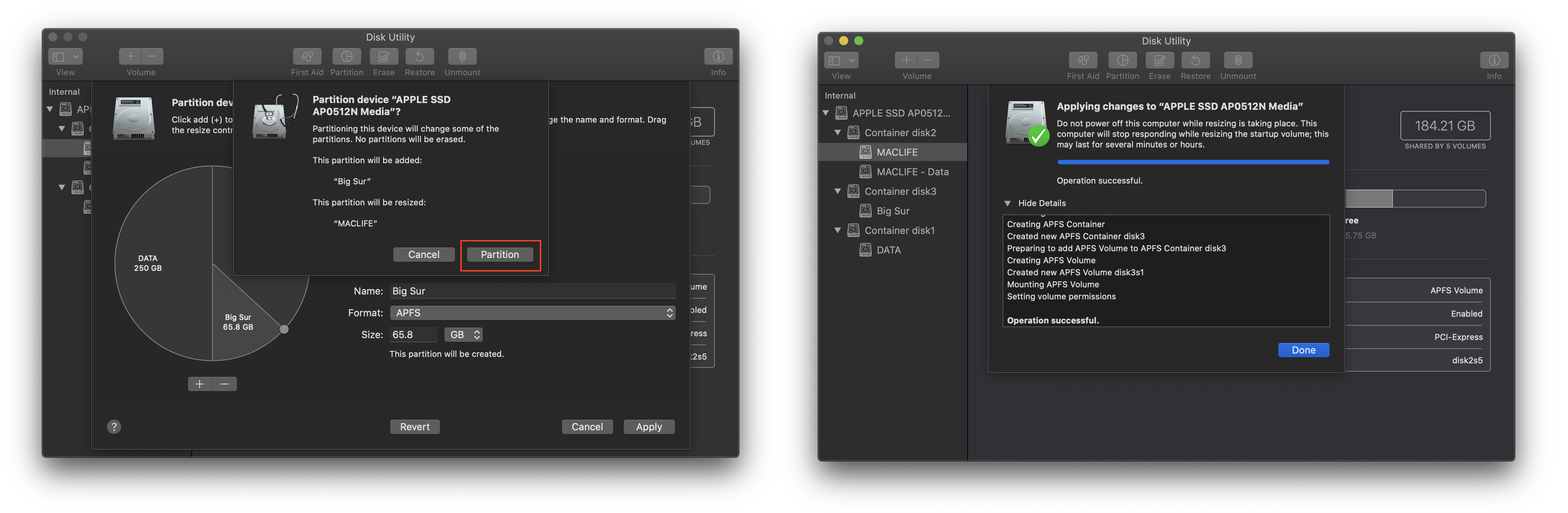 Hướng dẫn cài song song Big Sur 11 và Catalina, Mojave