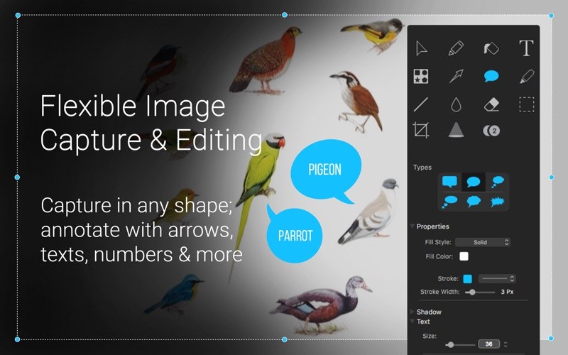 Capto – Thêm một lựa chọn công cụ chụp, quay phim màn hình