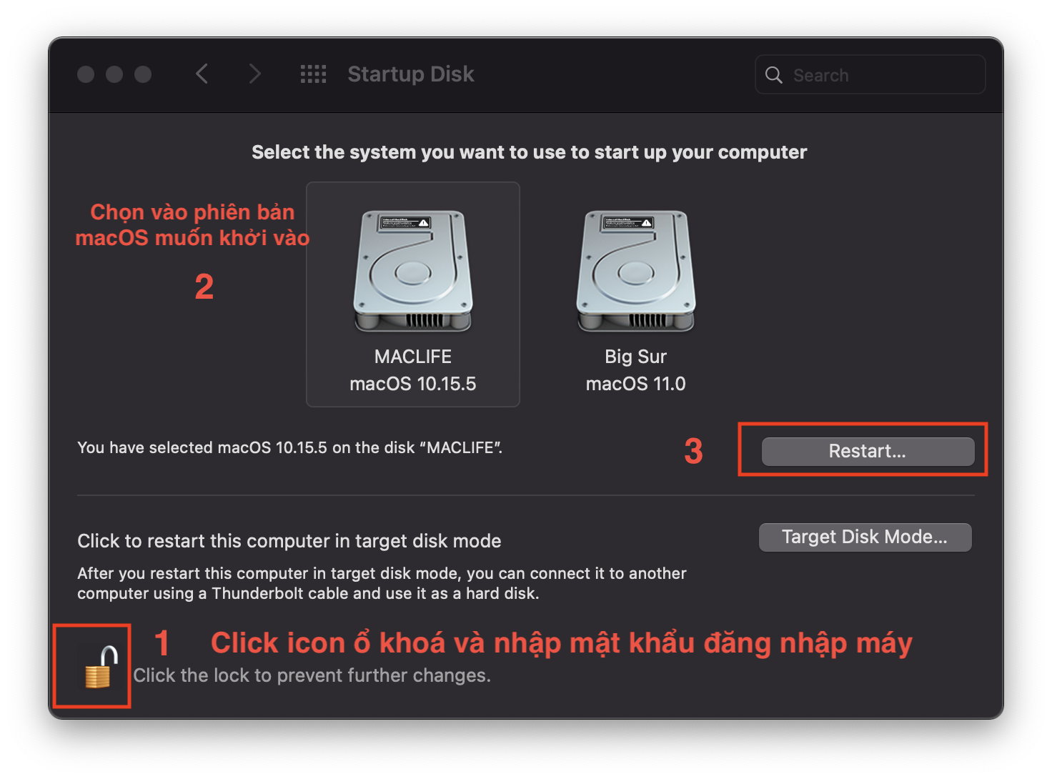 Hướng dẫn cài song song Big Sur 11 và Catalina, Mojave