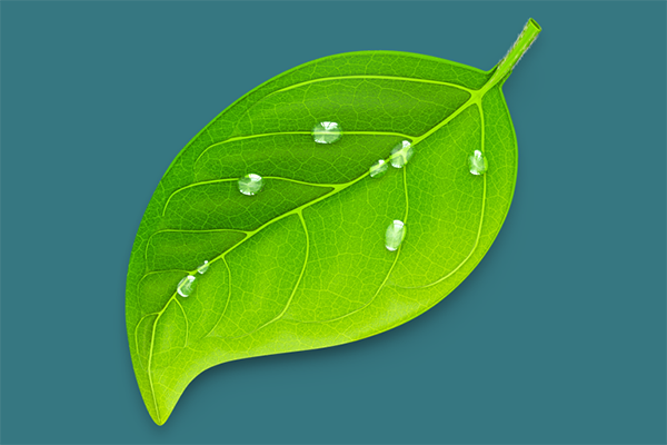 Coda – Công cụ hỗ trợ lập trình Web