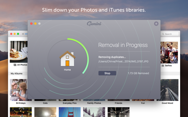 gemini-2_ Gemini – Loại file trùng lặp hiệu quả trên Mac