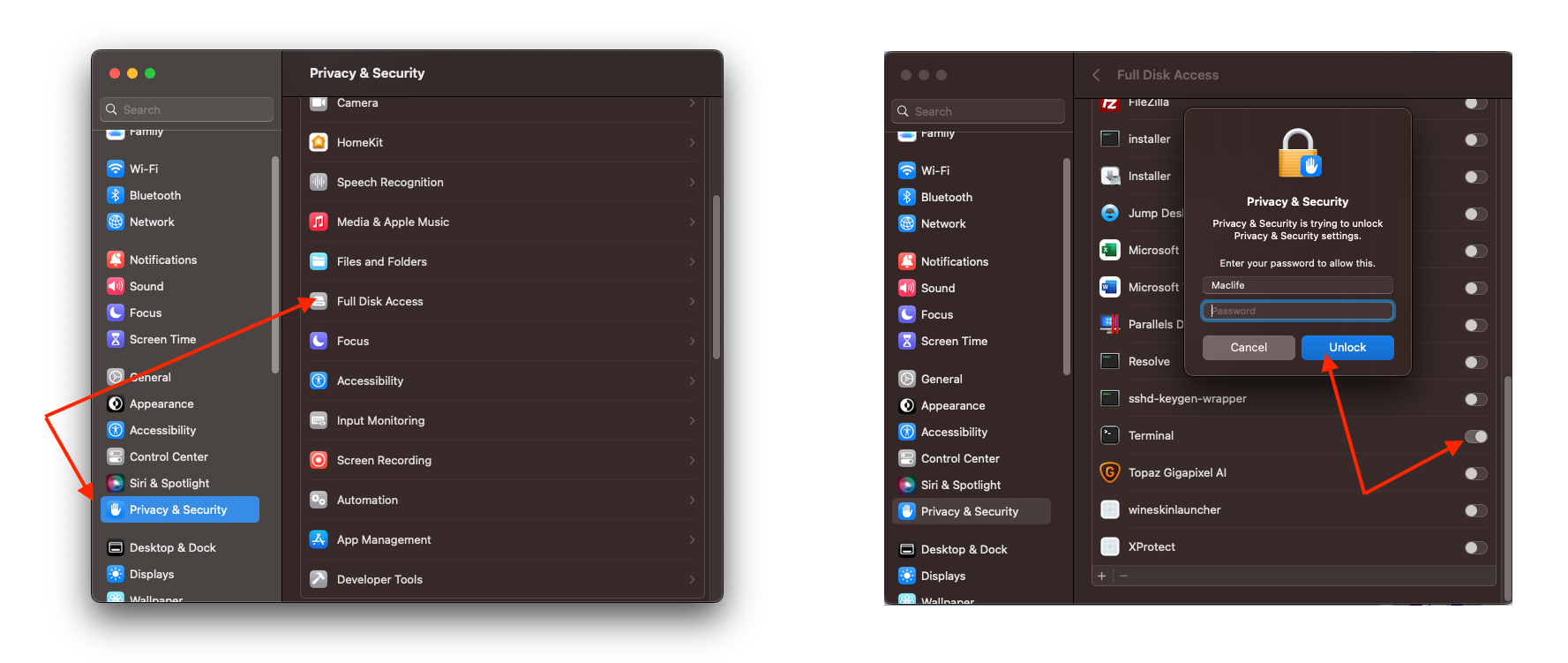 hd-para-3 DaVinci Resolve Studio 19 – Phần mềm chỉnh sửa video chuyên dụng