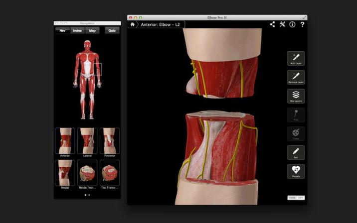 human-anatomy-atlas Complete Anatomy – Phần mềm 3D mô phỏng giải phẫu cơ thể người