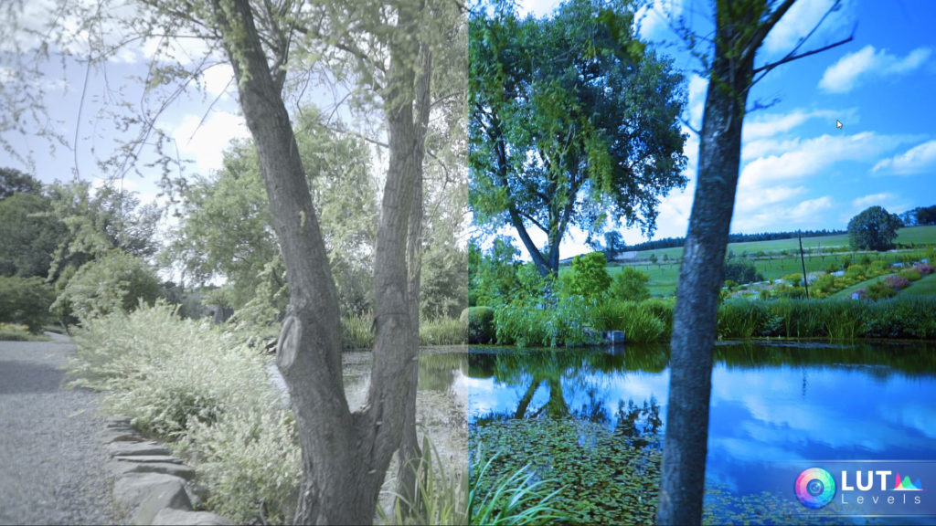 Levels LUT Video LUTs – Filtergrade – 140 LUTs màu đẹp