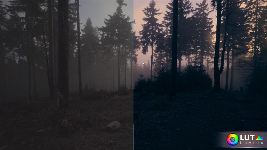 Levels LUT Video LUTs – Filtergrade – 140 LUTs màu đẹp