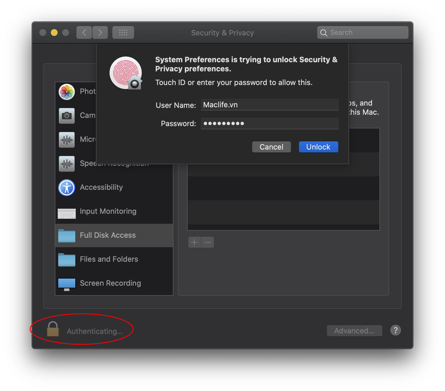 Tổng hợp một số lỗi trên bản macOS Catalina 10.15