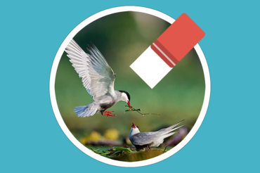 Magic Photo Eraser – Xóa nội dung không mong muốn khỏi ảnh đơn giản