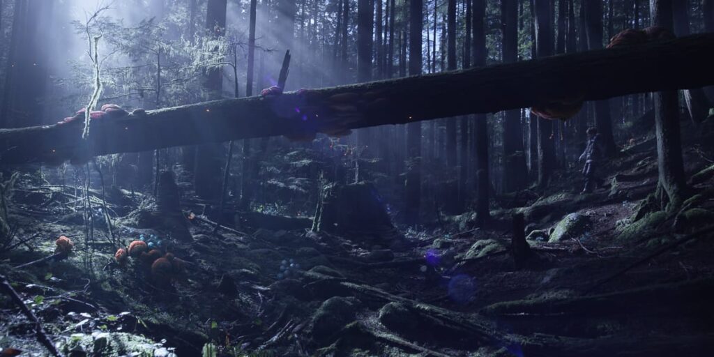 maya-2024_01-1024x512-1 Autodesk Maya 2026 – Công cụ đồ họa 3D