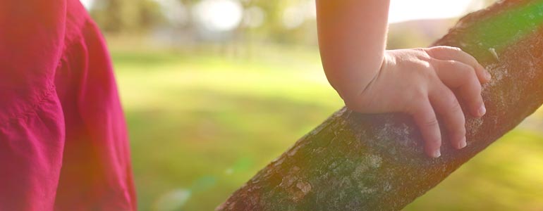 Pixel Film Studios – ProFlare