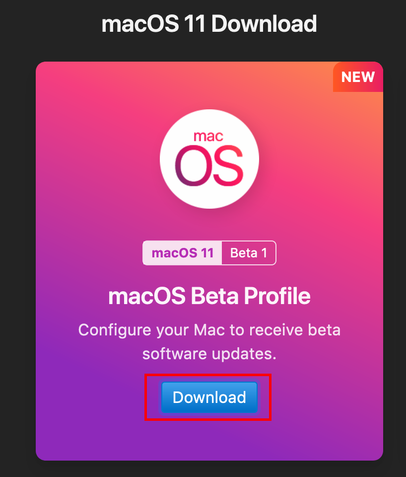 profile-beta-macos Profile update macOS 11 Big Sur, iPad OS, iOS 14 để trải nghiệm