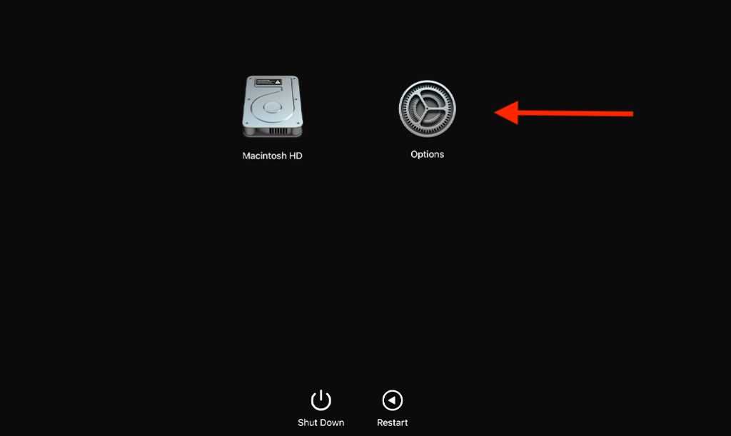 recovery-options-1024x611-1 Hướng dẫn tắt System Integrity Protection (SIP)