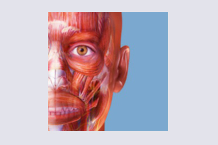 Visible Body Muscle Premium – Phần mềm giải phẫu 3D cho ngành y