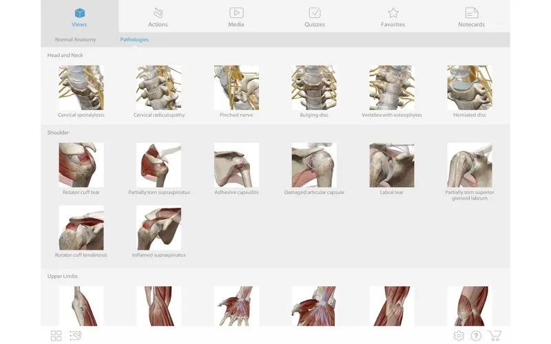 visible-body-muscle-premium Visible Body Muscle Premium – Phần mềm giải phẫu 3D cho ngành y