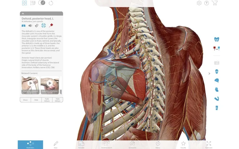 visible-body-muscle-premium3 Visible Body Muscle Premium – Phần mềm giải phẫu 3D cho ngành y