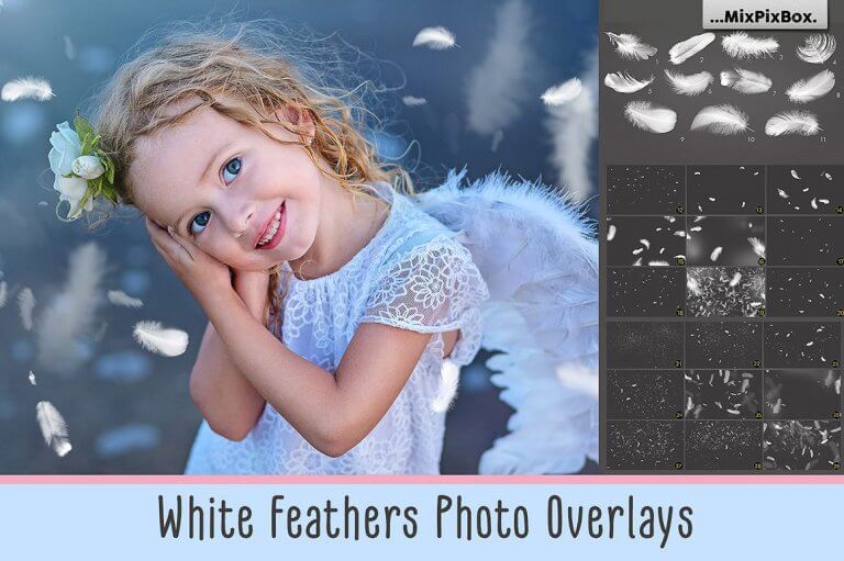 white-feathers-first-image-768x511-1 3900+ Photo Overlays – Bộ sưu tập hơn 3900 file Overlays nhiều chủ đề
