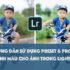 300+ Portraiture Photoshop Actions & ACR Collection – Hơn 300 Action, Preset Lightroom, Camera Raw Filter